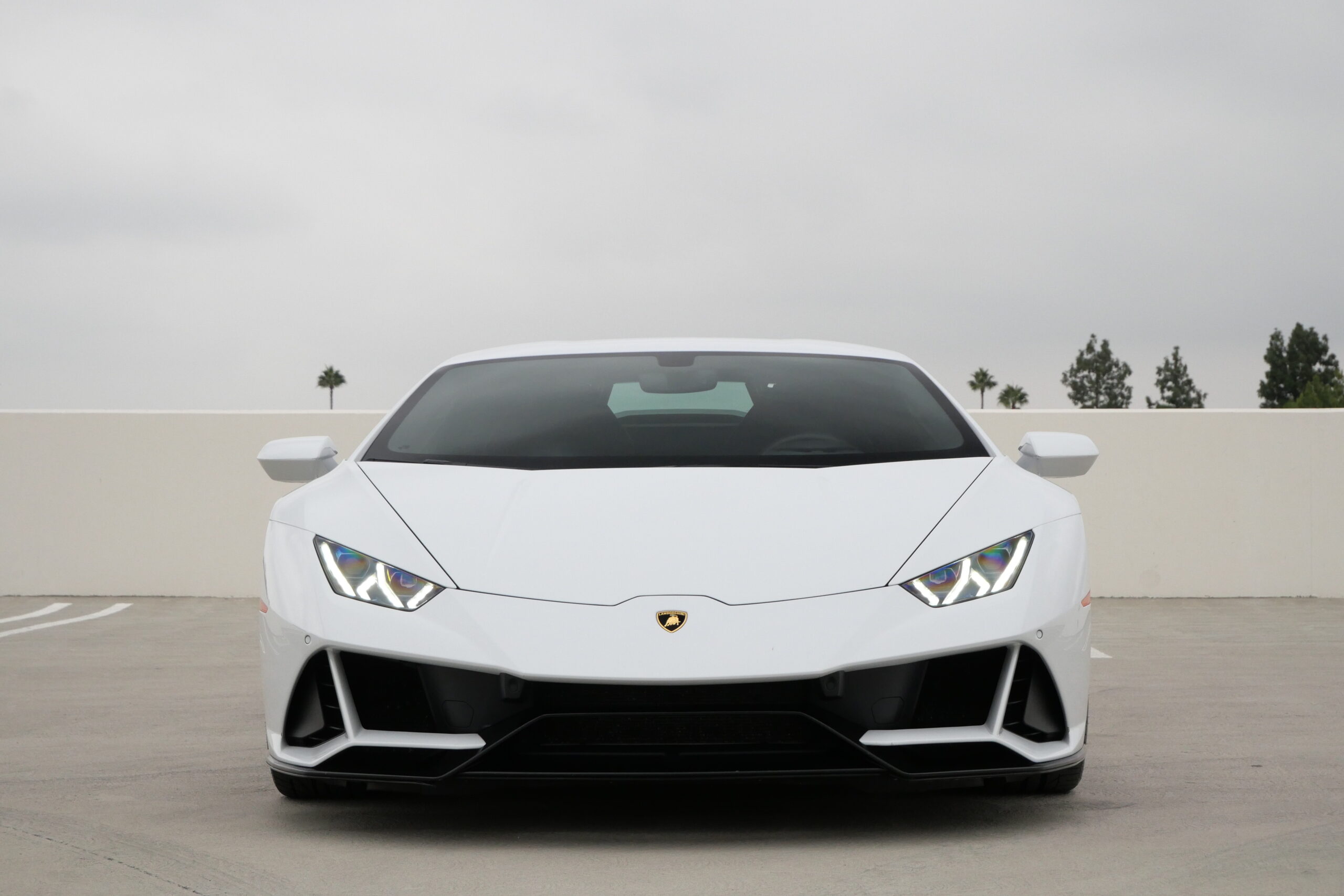 Rent White Lamborghini Huracan EVO Black