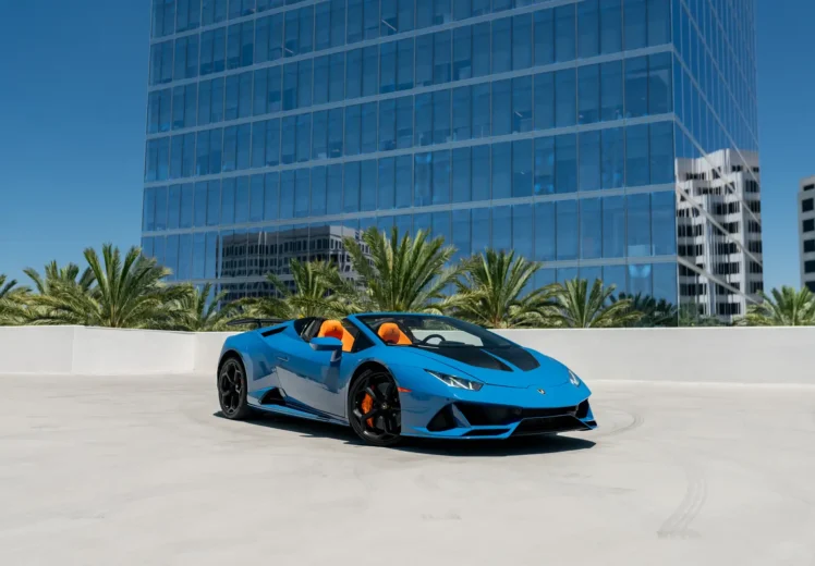 blue-huracan-spider-morning-45075008-web