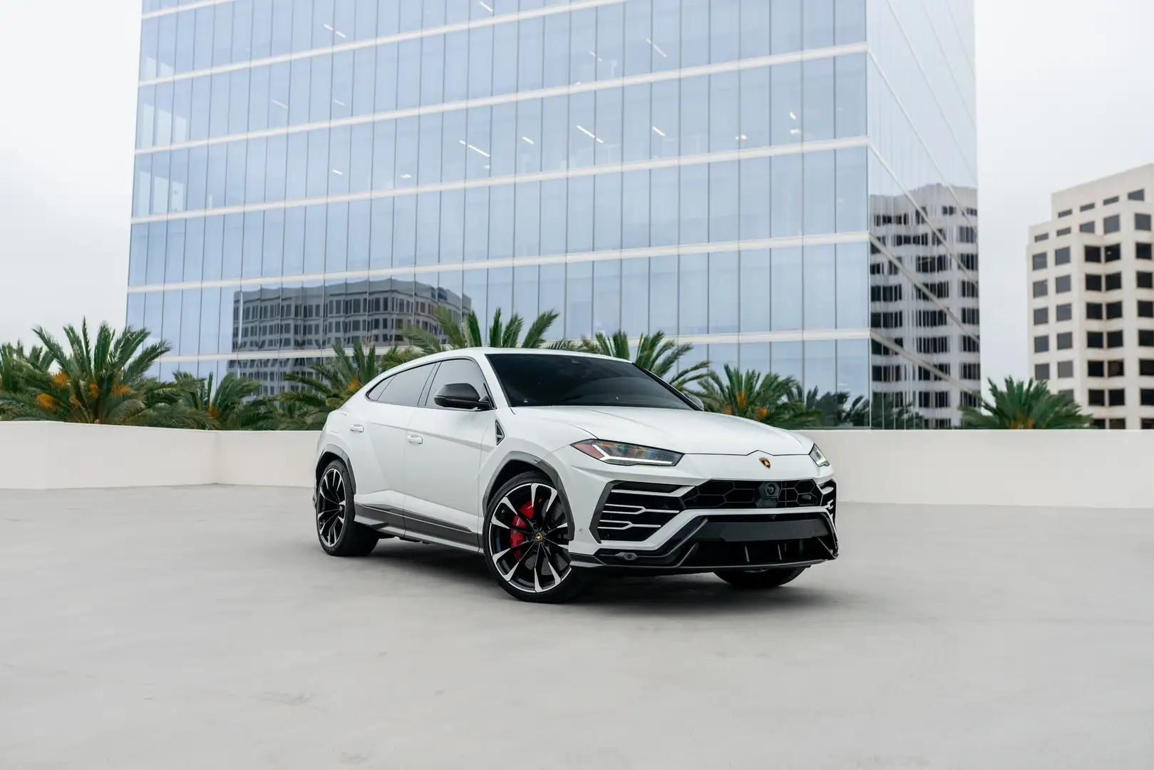 White Lamborghini Urus Rental